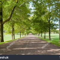 Test Galleries 6 344683458